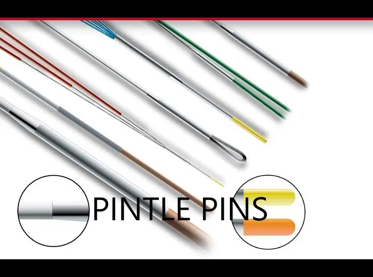 Pintlepins Pintlepins